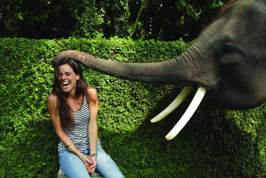 Mason Elephant Ubud