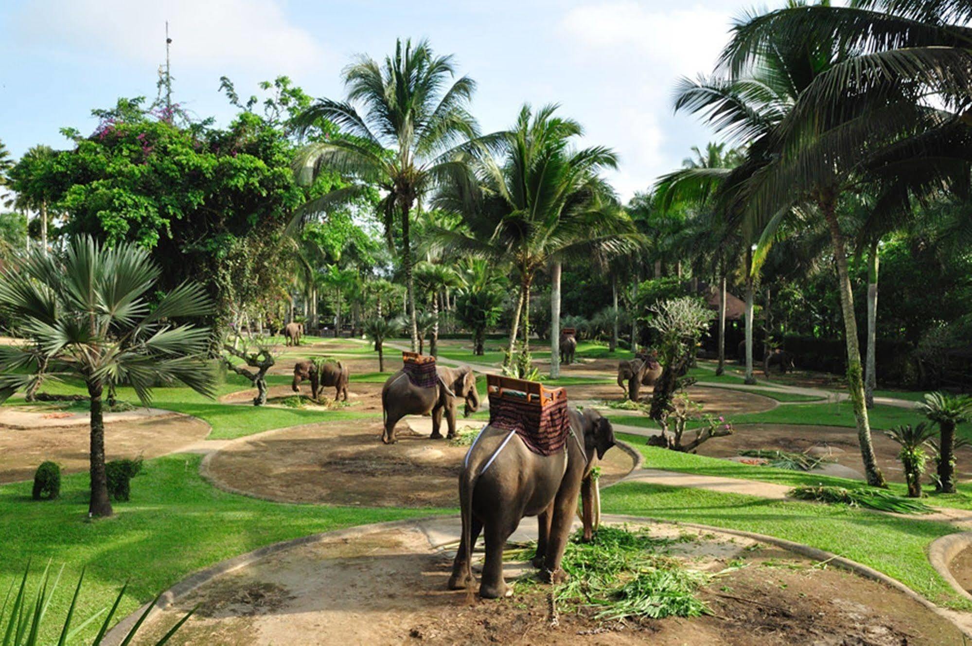 Mason Elephant Campo de férias Ubud