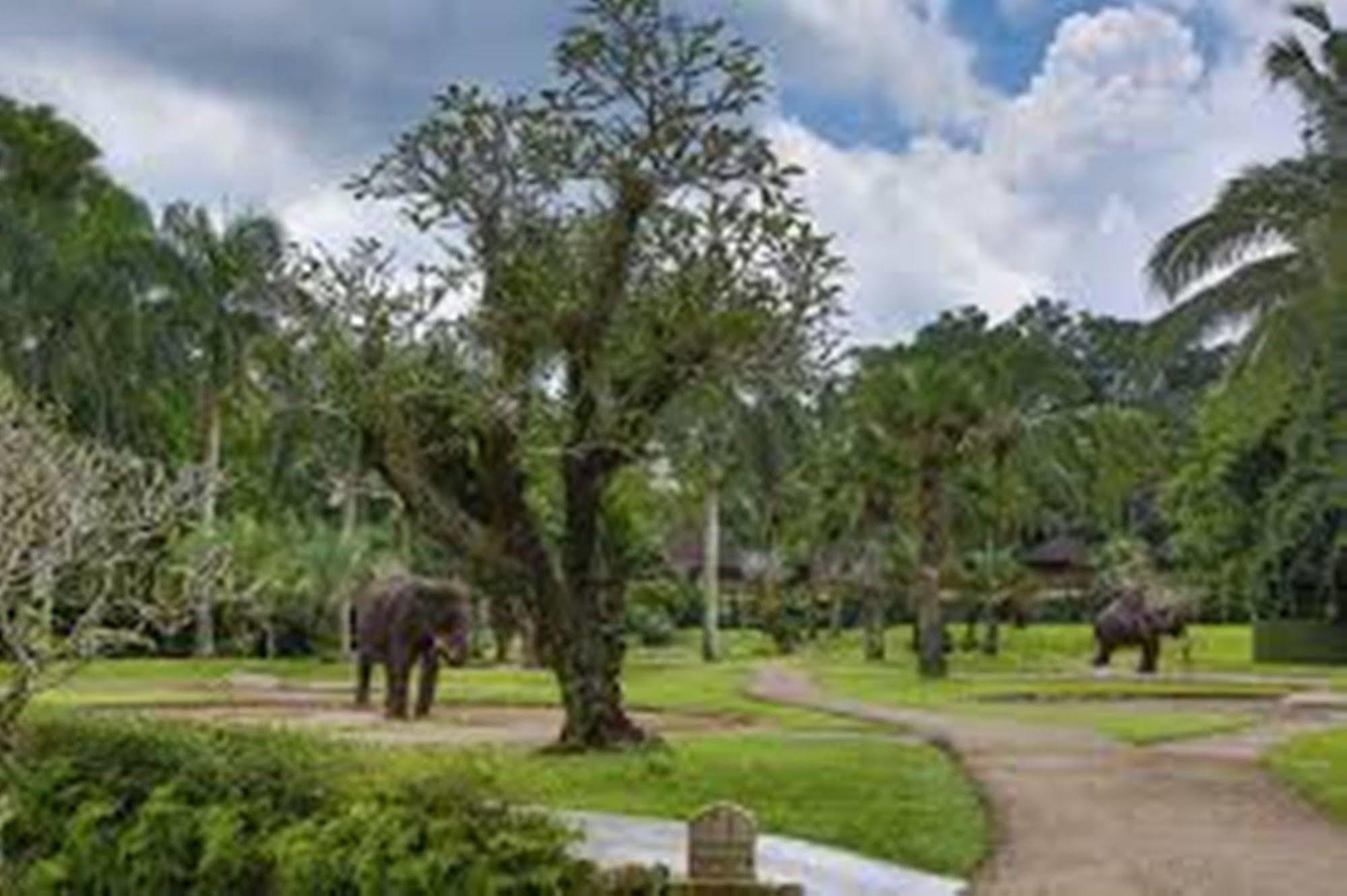 Taman liburan Mason Elephant Ubud (Bali)